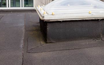 disadvantages of Hackland flat roofs