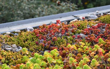 the cost of Hackland green roof installation