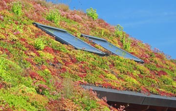 Hackland living roof systems
