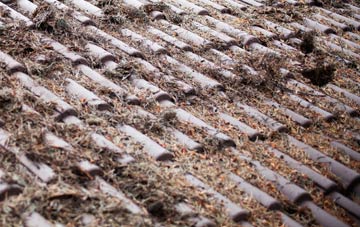 Hackland roof cleaning companies