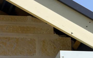 soffit repair Hackland