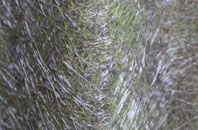 Hackland fibreglass roof work